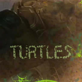 turtles ninja