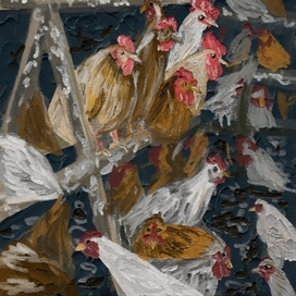 Курочки