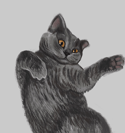 Кот Мурзик