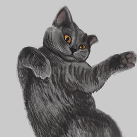 Кот Мурзик