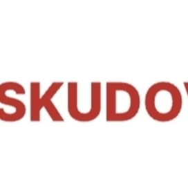 Портфолио / Skudov