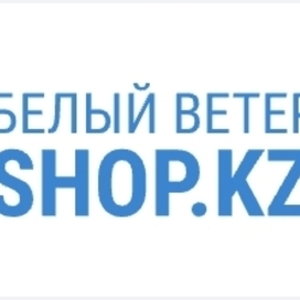 Портфолио / Белый Ветер KZ