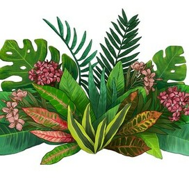 тропические растения для упаковки грунта