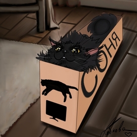 Кот в телевизионной коробке