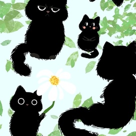 Котики