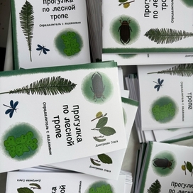 определитель