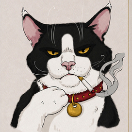 Котяра