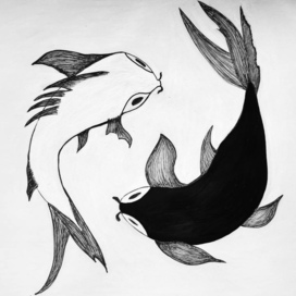 Карпы Кои