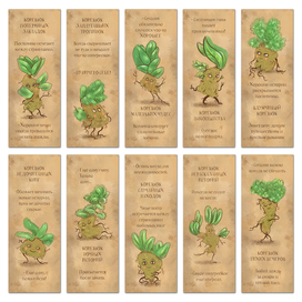 Книжные корешки
