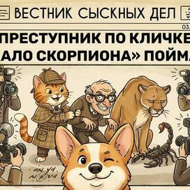 Преступник пойман!