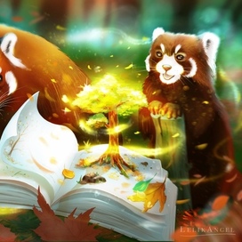 Книжная осень