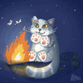 Котик турист