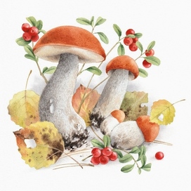 Красноголовики.