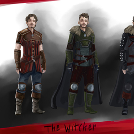 The witcher concep 