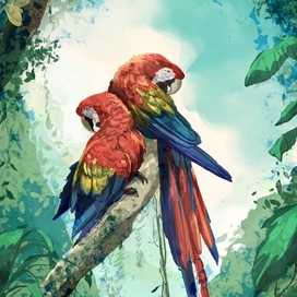 Parrots
