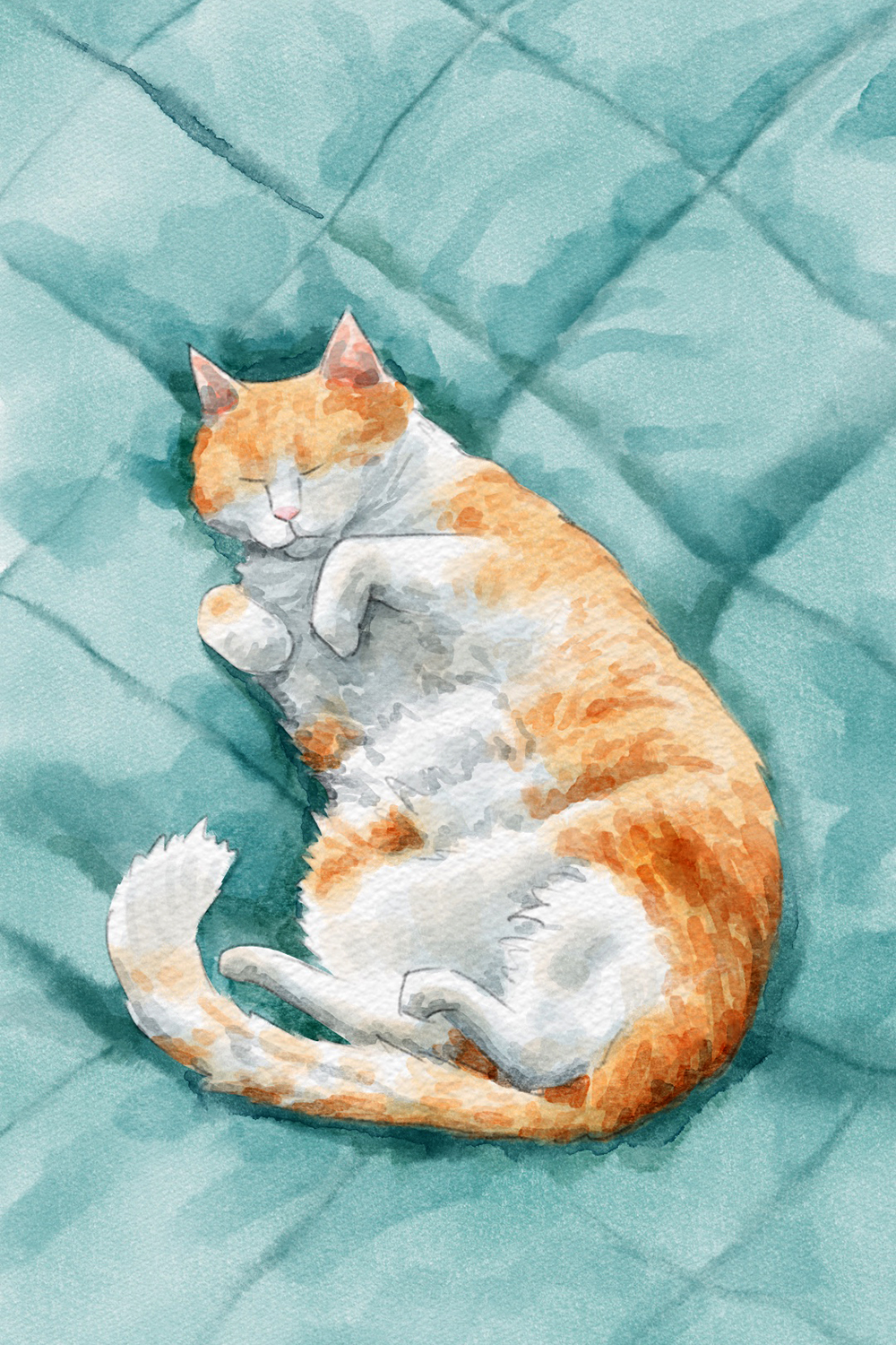 Портрет кота