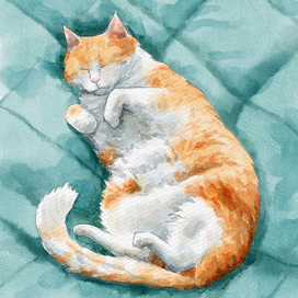 Портрет кота