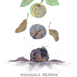 Монилиоз яблони