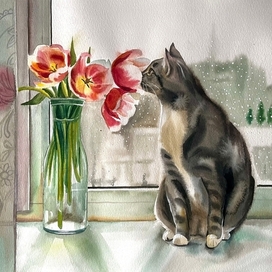 котик и тюльпаны