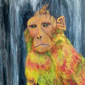 Monkey