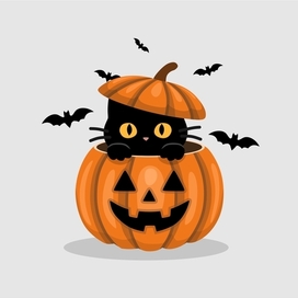 Котик на Хэллоуин