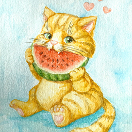 Котик