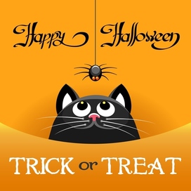 Cat and spider Halloween Poster