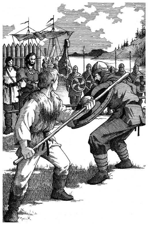 Илл.3. Викинг-11