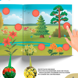 Иллюстрации для книги "Животные и растения Якутии"