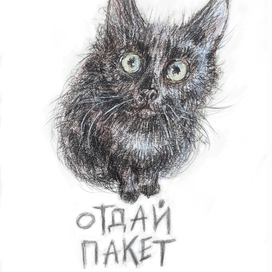 Отдай пакет