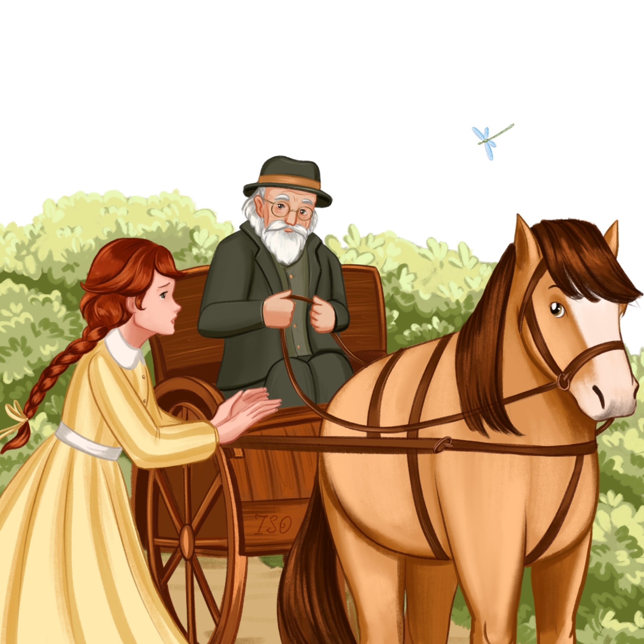 Иллюстрация книги