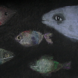 Ночные рыбы