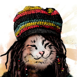 rasta cat