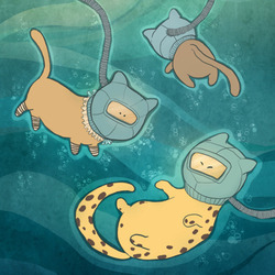 водоплавающие коты