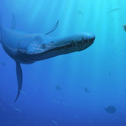 Liopleurodon rossicus (плиозавр)