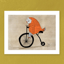 owl&bike