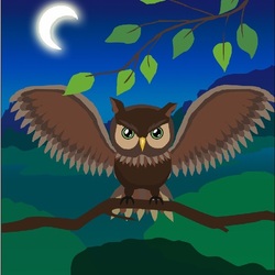 Owl