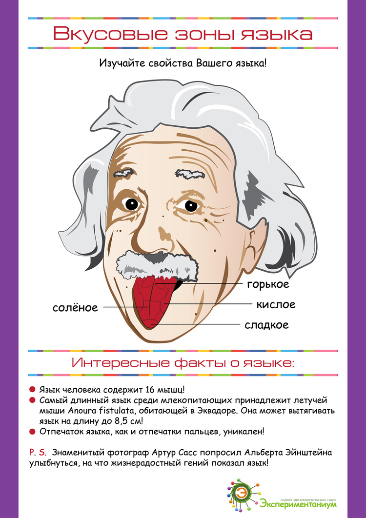 Ваш язык. Интересные факты о языке человека. Интересное о языке человека. Язык фактов. Интересные факты о человеческом языке.