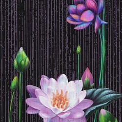 waterLilies