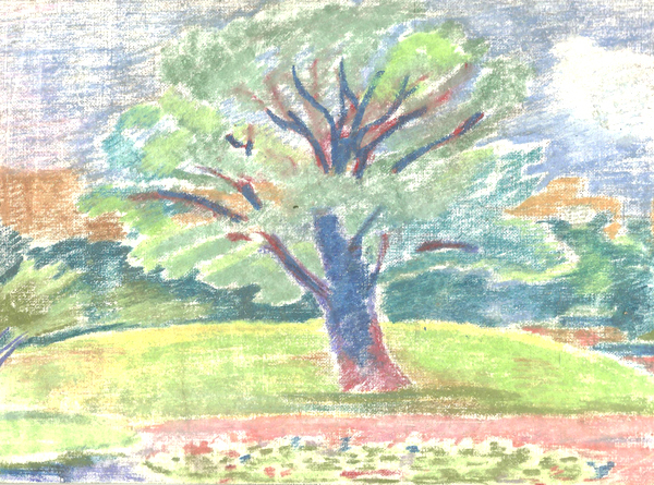 ван гог лес и подлесок.