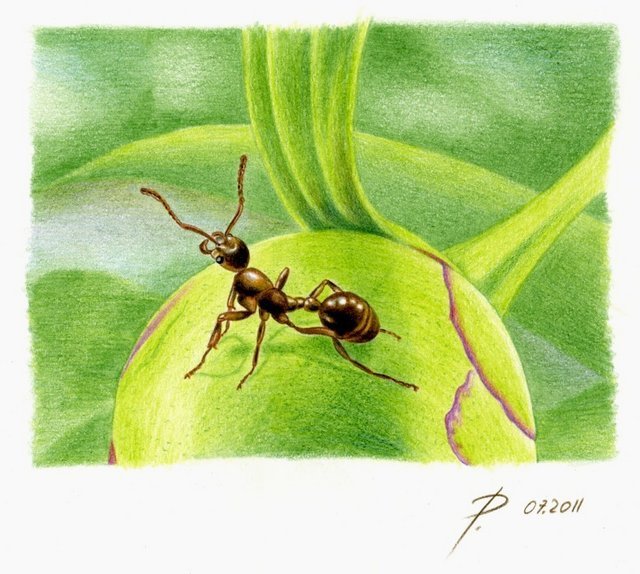 Назовите прием к которому прибегает автор рисуя картину отступления как муравьи
