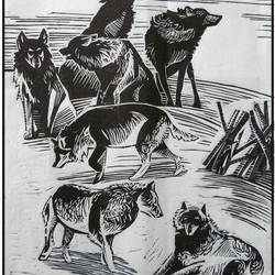 "Улыбка волчицы" иллюстрация к произведению Астафьева
