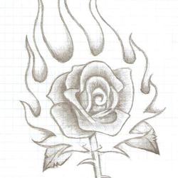 Пламенная роза