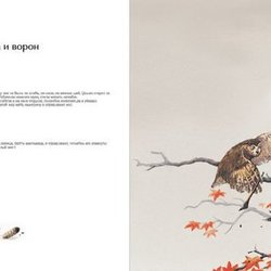 Иллюстрация к японской сказке "Сова и ворон"