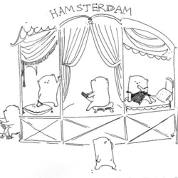 Hamsterdam. Ночь.