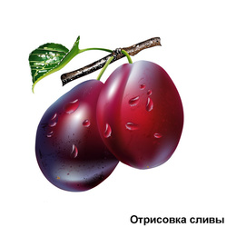 Сливы