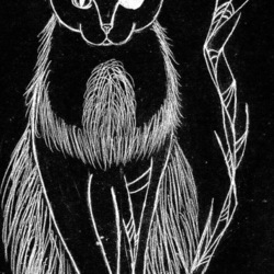 Кот Шредингера