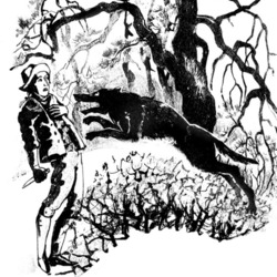 новелла Э.Т. А. Гофмана "Майорат" иллюстрация. нападение волка.