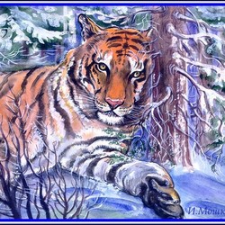 Амурский тигр в зимнем лесу. Бумага, акварель по-сырому, пастэль, 35х45см., 10000руб..