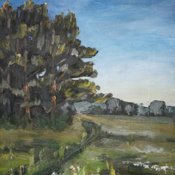 Окраєна лісу